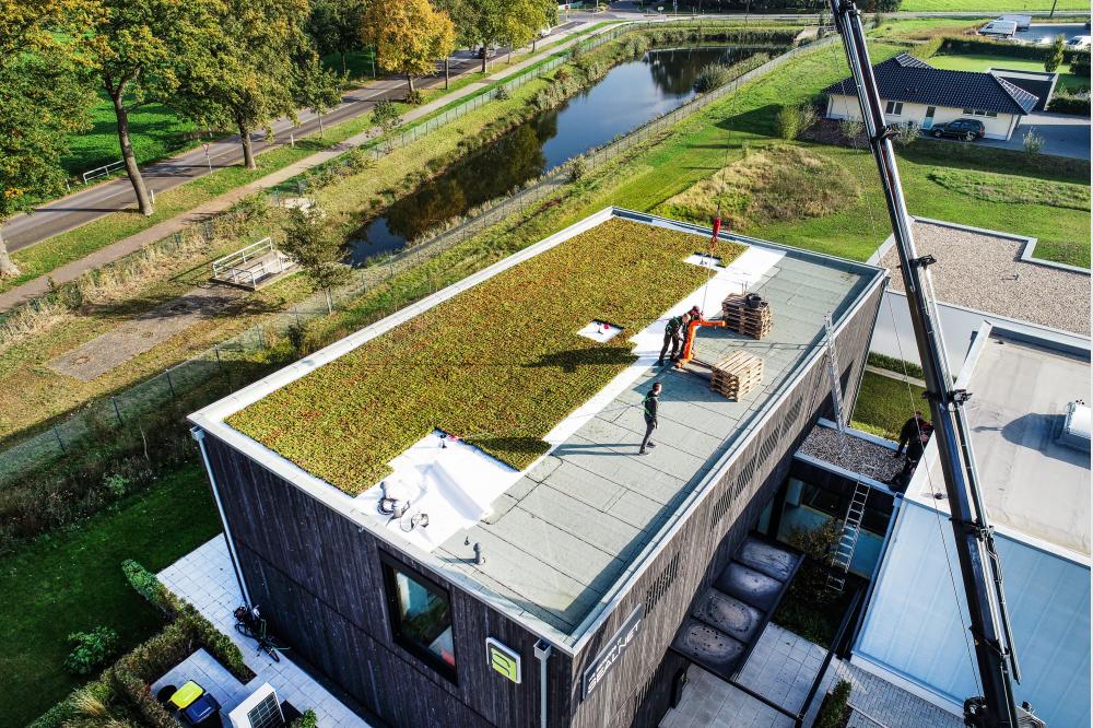 Dachbegr&uuml;nung aus dem Internet