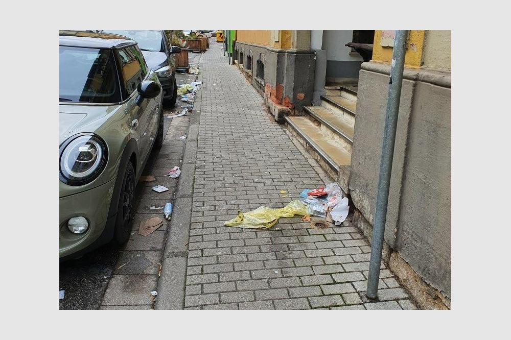 Duale Systeme m&uuml;ssen weiter Stadtteile mit Gelben Tonnen ausstatten &ndash; Rechtsweg bleibt offen