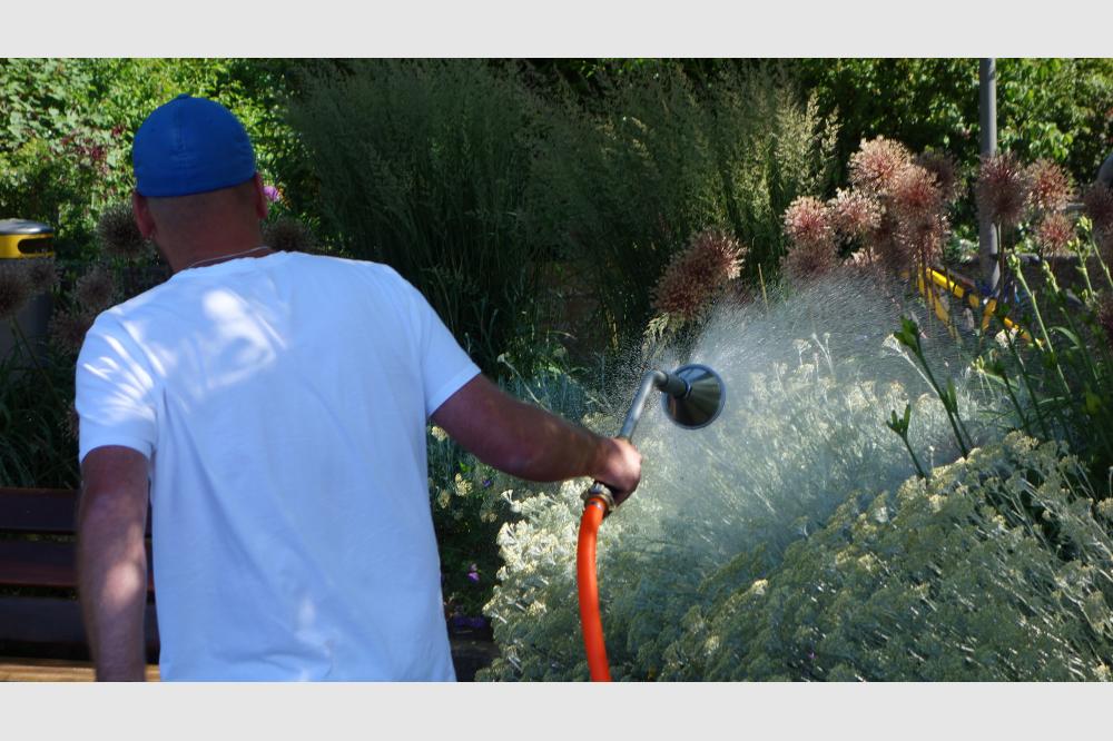 Neues zur Regenwassernutzung
