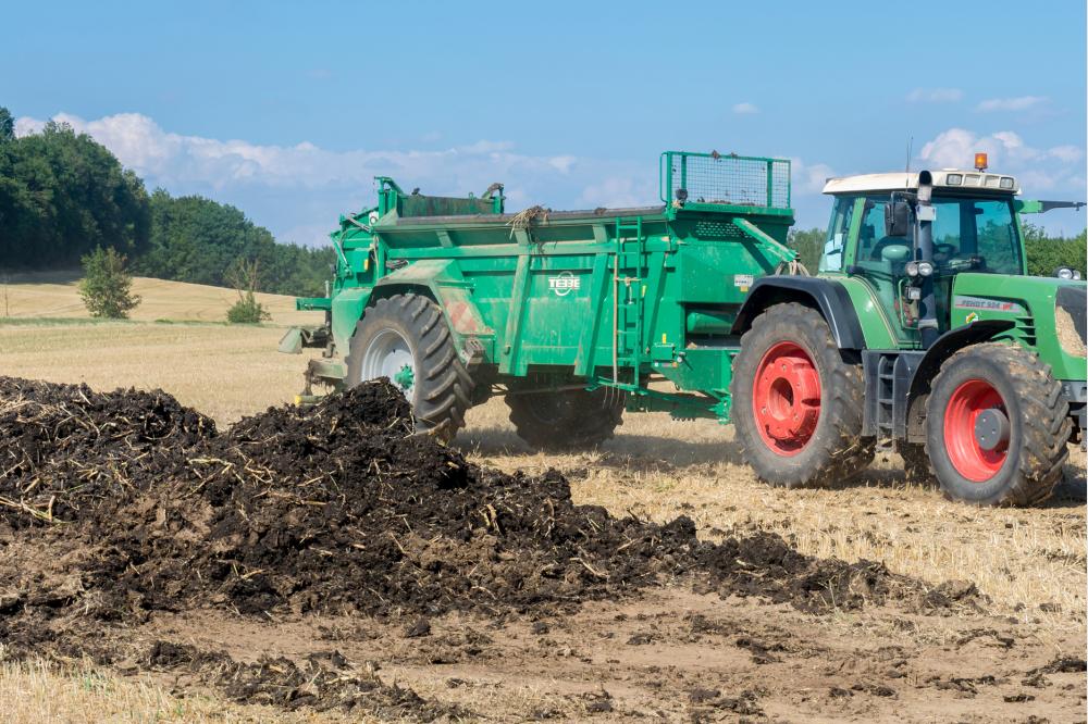 Renaissance der landwirtschaftlichen Verwertung