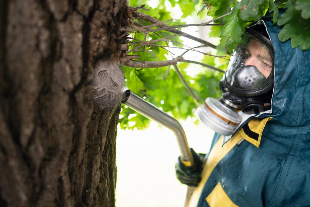 Akkusauger zur Bek&auml;mpfung von  Eichenprozessionsspinnern