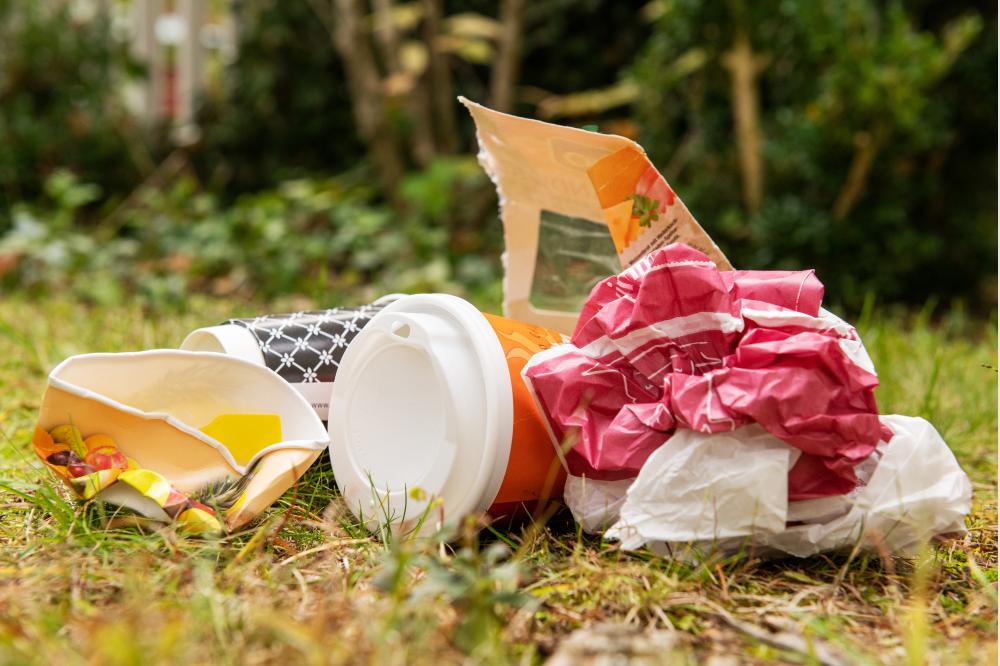 Umweltsch&auml;den von Littering vermeiden