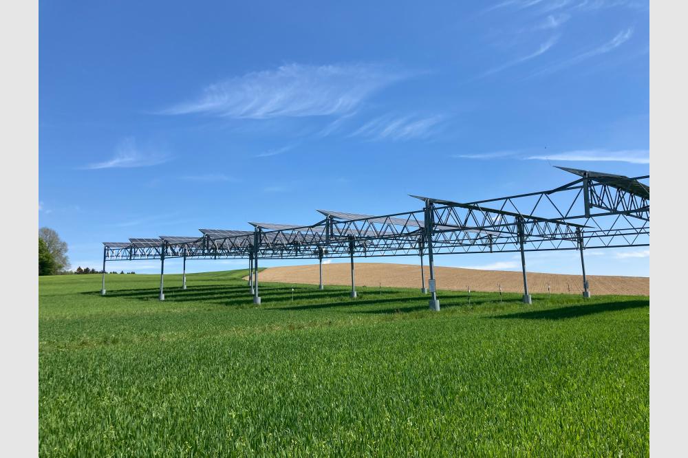 Klimawandel: Agri-Photovoltaik-Anlagen sch&uuml;tzen Pflanzen vor D&uuml;rre