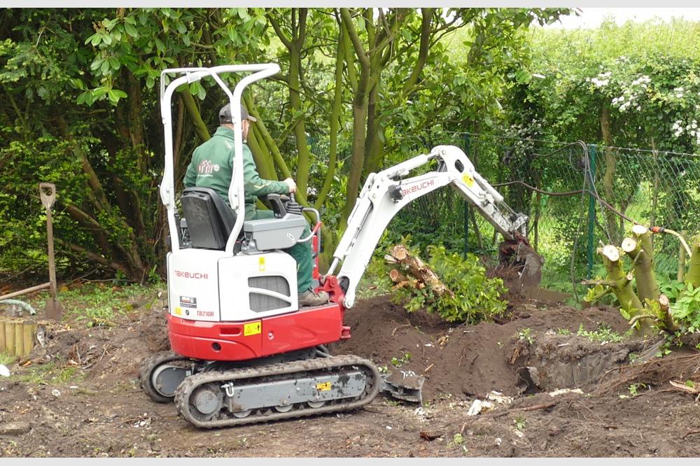 Der kleine Gartengroß