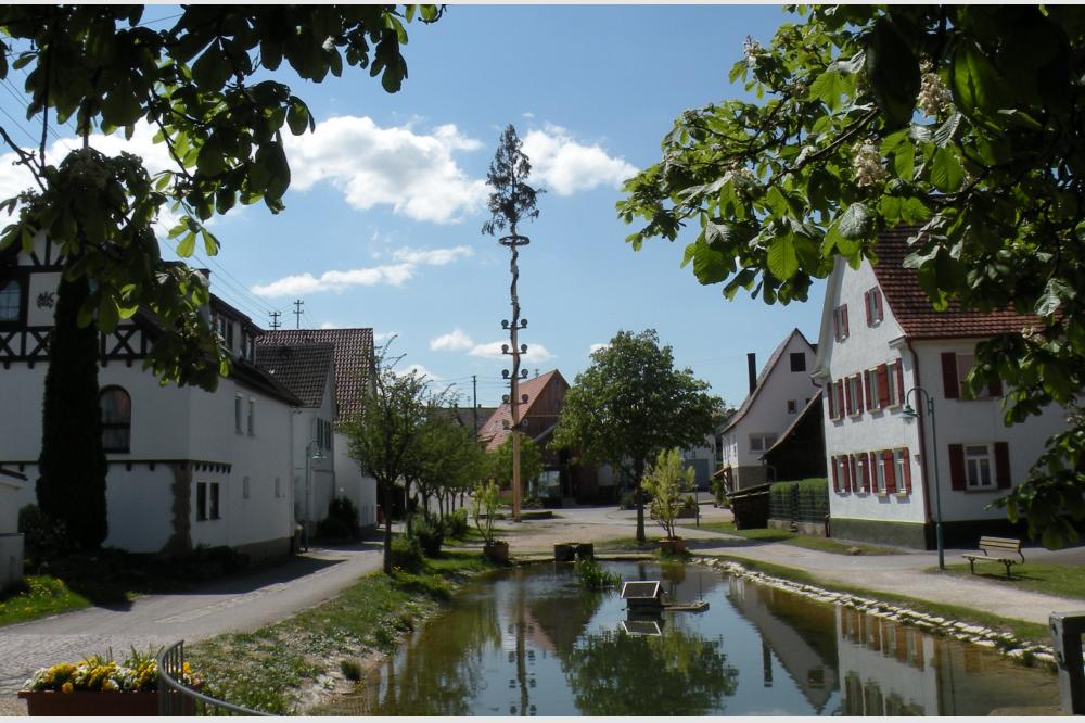 Gr&uuml;ne W&auml;rme im Dorf: Rottenburg untersucht ein klimafreundliches Nahw&auml;rmenetz f&uuml;r Oberndorf