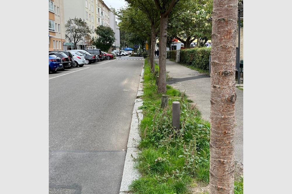 KOMMUNALE 2023: Hauraton zeigt St&auml;dten und Gemeinden, wie nachhaltiges Stadtgr&uuml;n entsteht