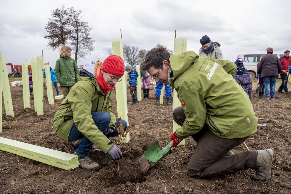 Miniwälder für ein besseres Mikroklima