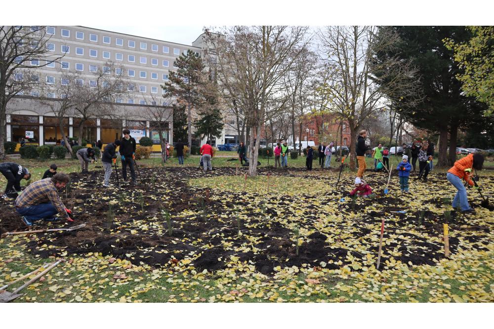 Kleine Wäldchen, große Wirkung: Deutsche Umwelthilfe stattet erstmals Schulen mit eigenem Schulwäldchen aus