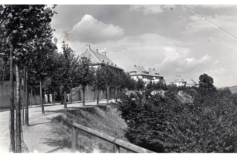 Generalsanierung der Strobelallee in Pirmasens