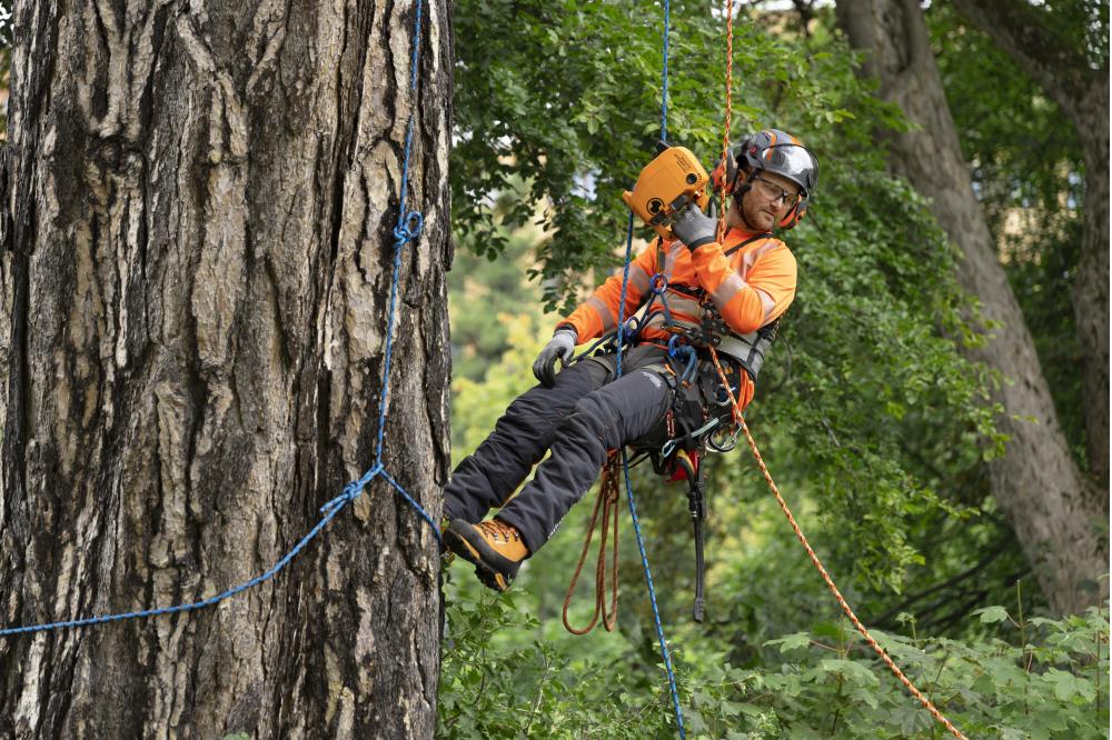 Husqvarna Power Ascender: revolution&auml;rer Akkulift f&uuml;r Baumpfleger
