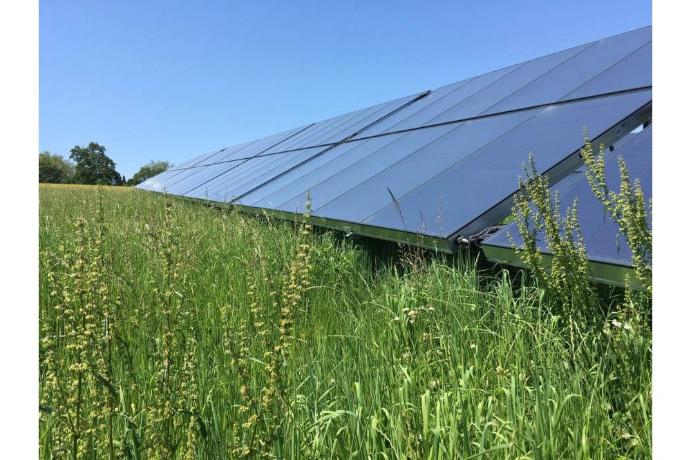 Baden-W&uuml;rttemberg auf Platz eins mit 19 solaren W&auml;rmenetzen