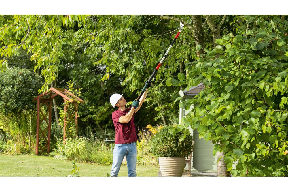 Schwer zug&auml;ngliche &Auml;ste sauber und m&uuml;helos schneiden