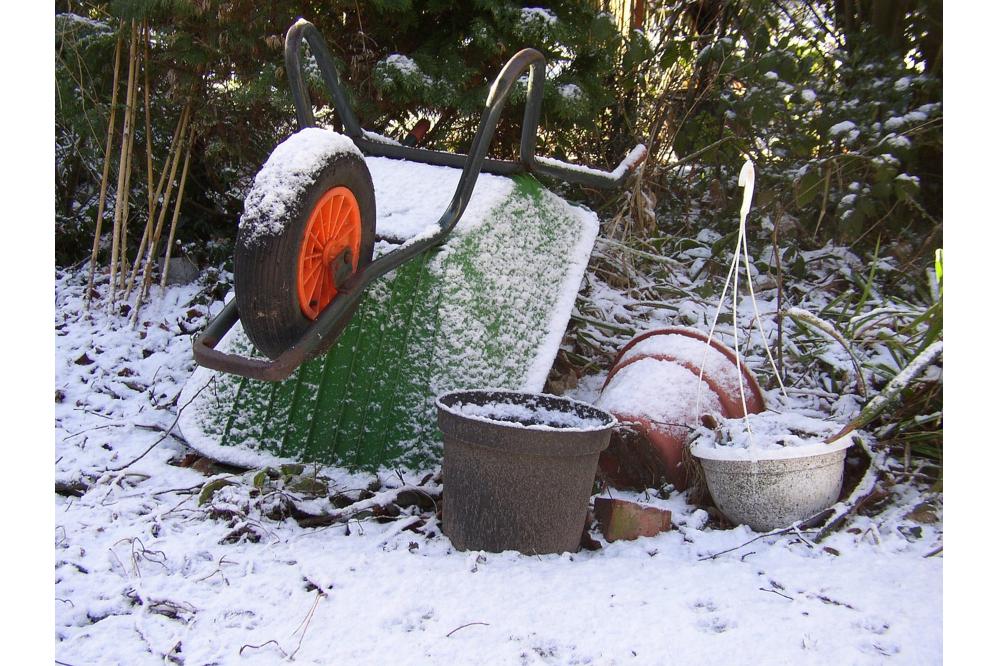 Winter ade: Tipps vom Gartenbauexperten für den erfolgreichen Start ins neue Gartenjahr