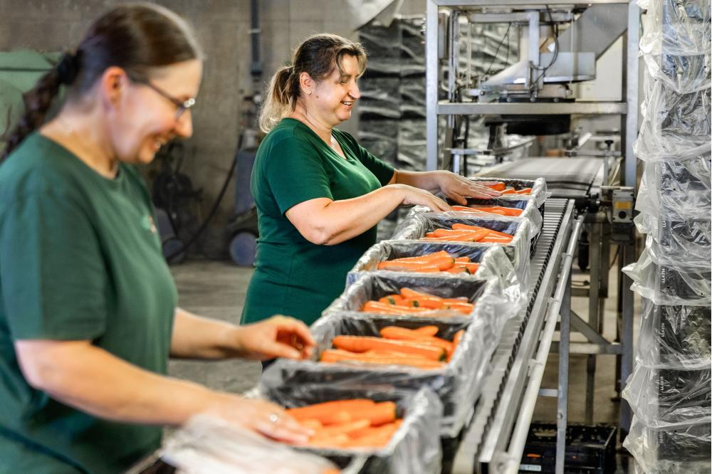 Politik auf dem Acker