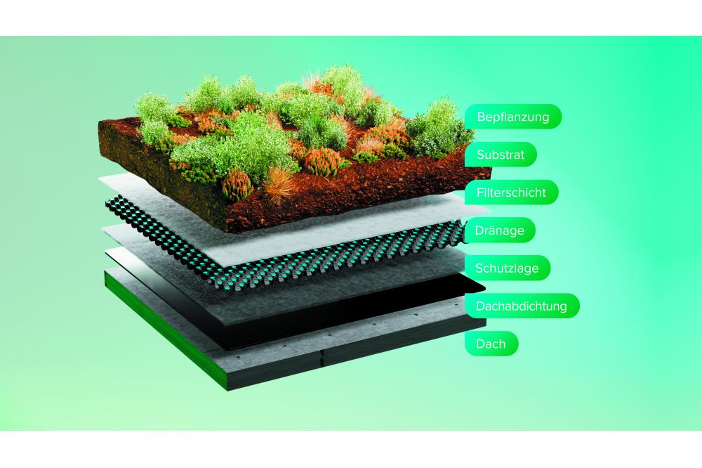 Klimarobuster Umbau mit Dachbegrünungen: 50 Euro pro Quadratmeter