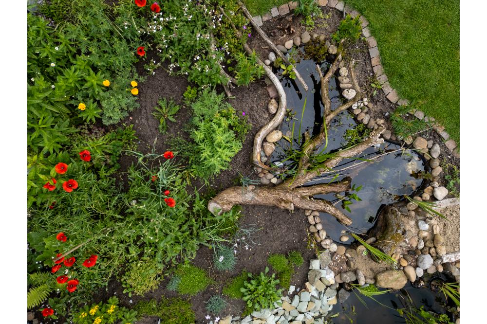 Artenschutz: Kommunen ermuntern B&uuml;rger*innen zum naturnahen G&auml;rtnern