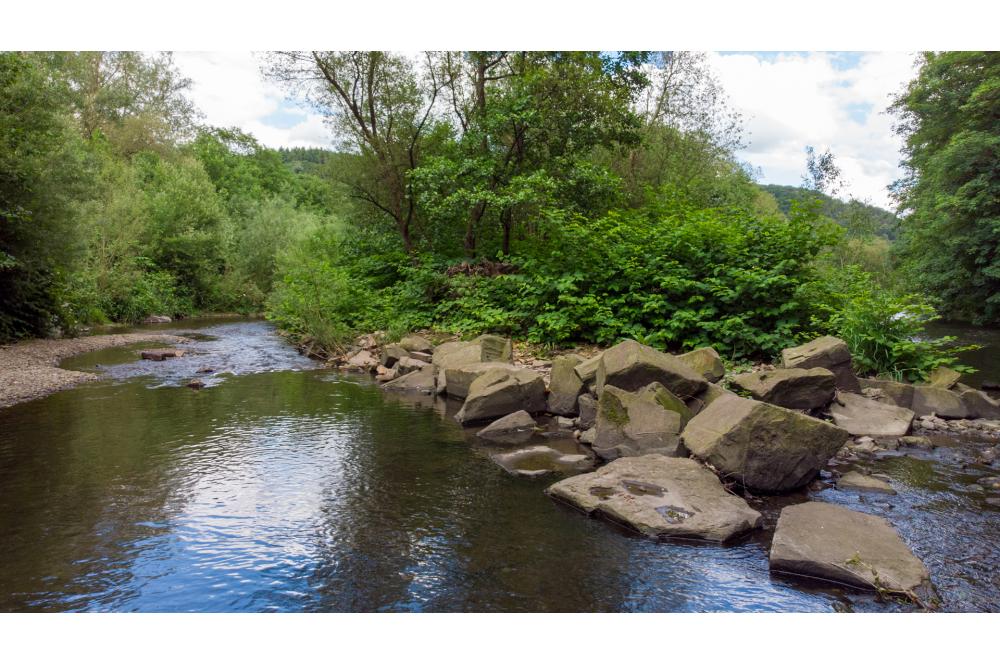 Wupperverband: Gew&auml;sser bieten Lebensraum