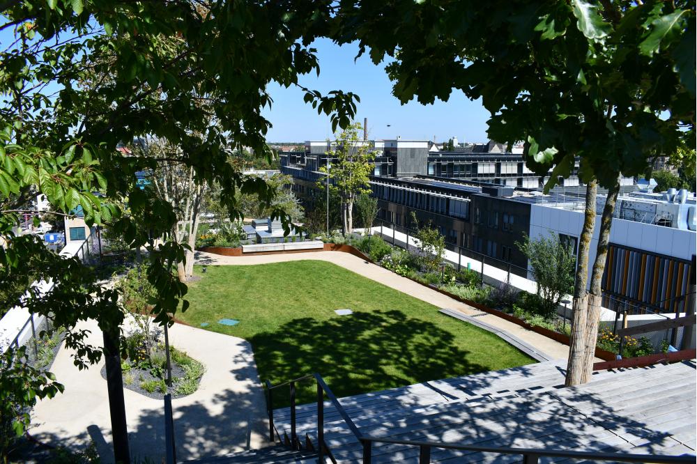 Schwammstadt und klimaresiliente Stadtplanung im Fokus von Starkregen und Trockenheit