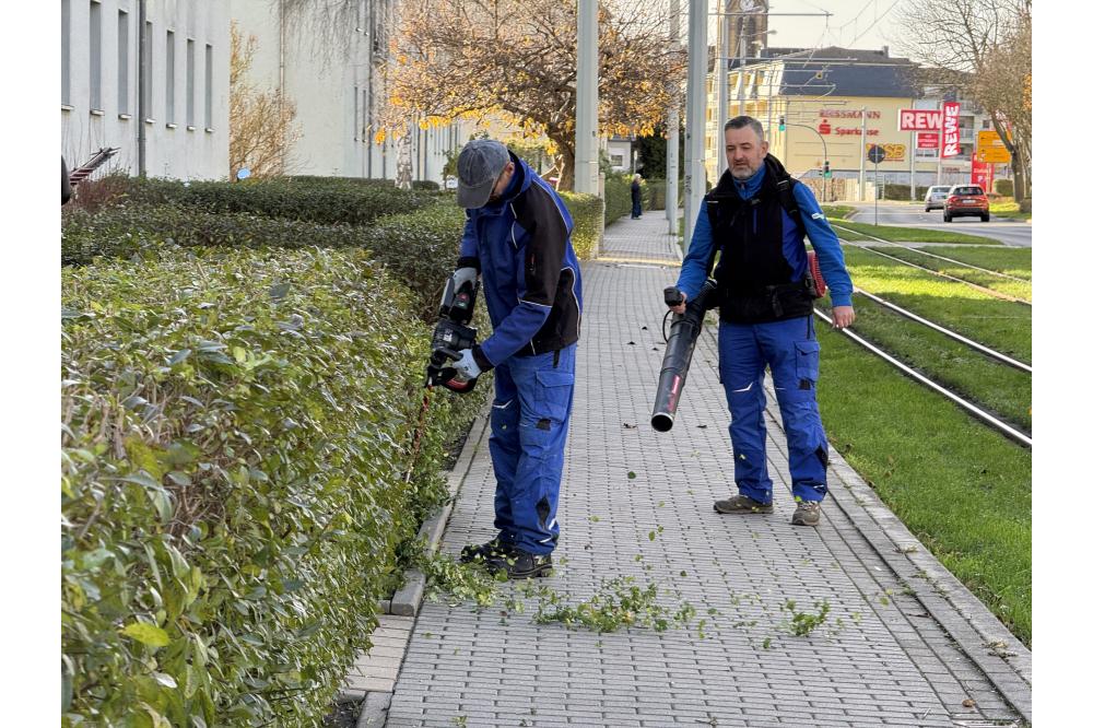 Vermieter TAG Wohnen setzt auf abgasfreie Gr&uuml;npflege