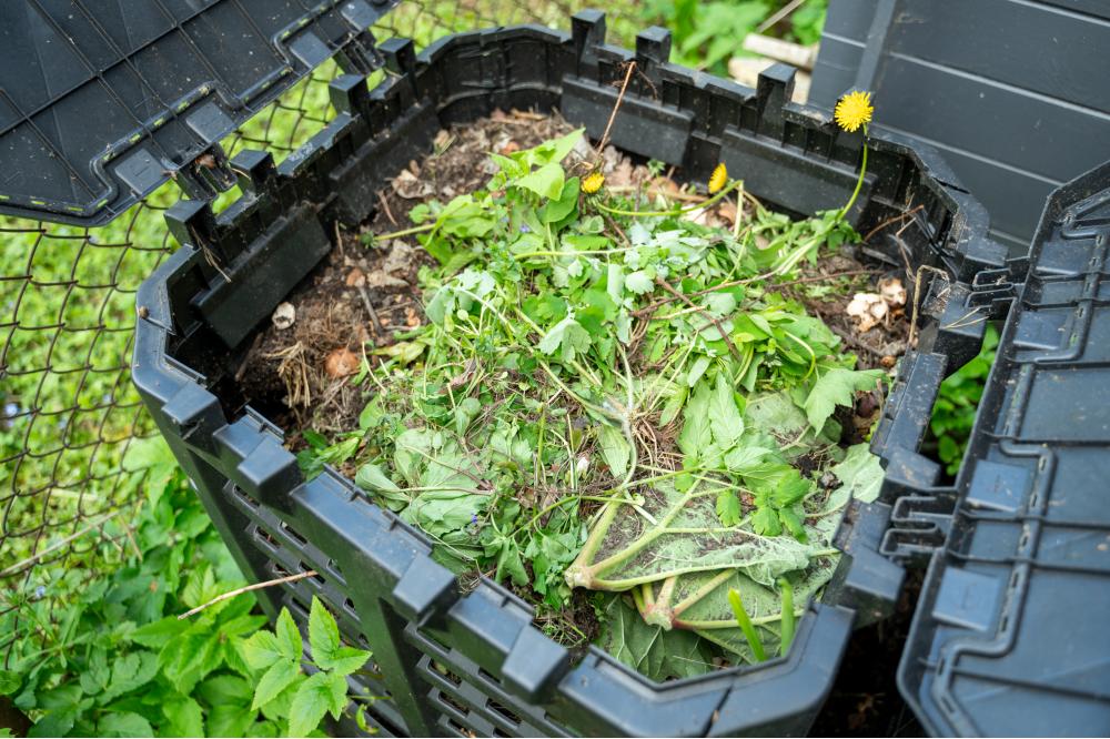 Bioabfall und Mehrweg für eine erfolgreiche Kreislaufwirtschaft in Kommunen