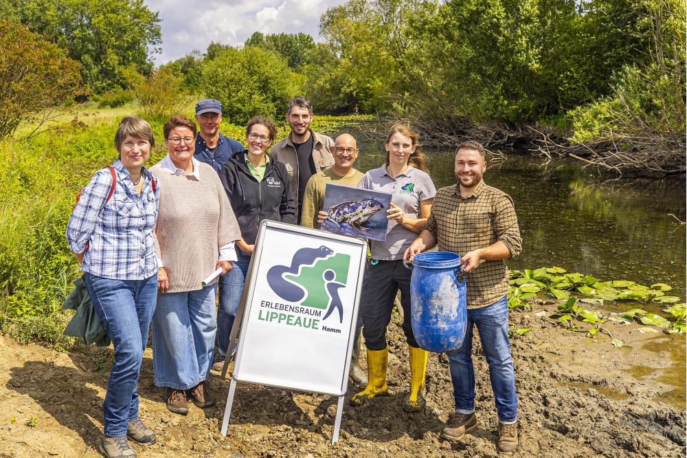 Knoblauchkr&ouml;ten finden neuen Lebensraum in der Lippeaue 