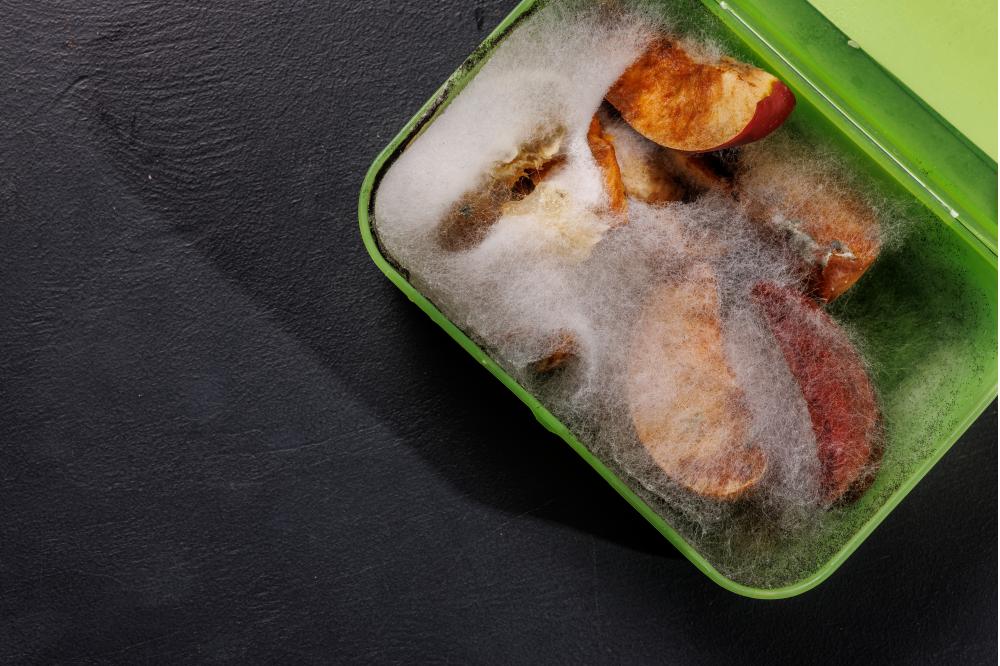 Zum Schulstart: Schulranzen aufr&auml;umen &ndash; Abf&auml;lle richtig entsorgen