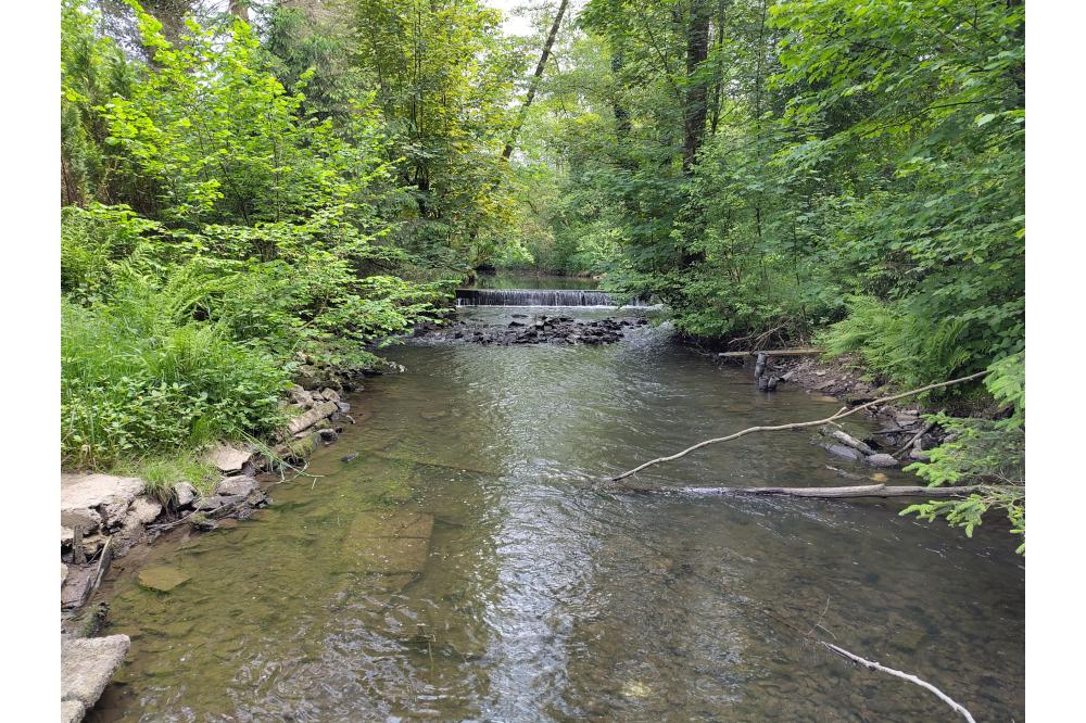 Wipper wird in Wipperfürth-Ohl ökologisch durchgängig gestaltet