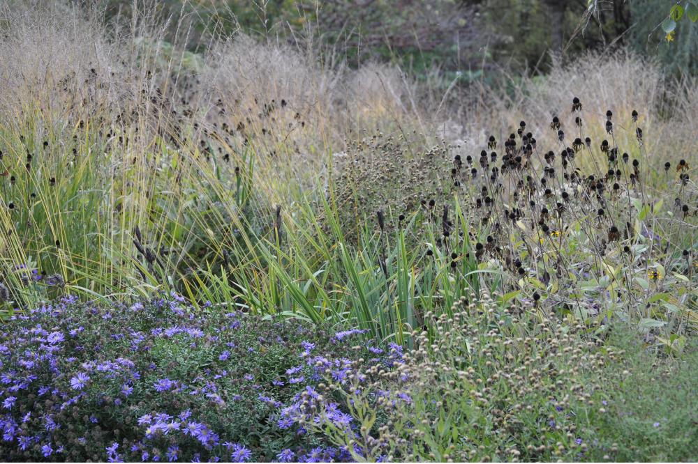 Der „kluge“ Gartenmonat September