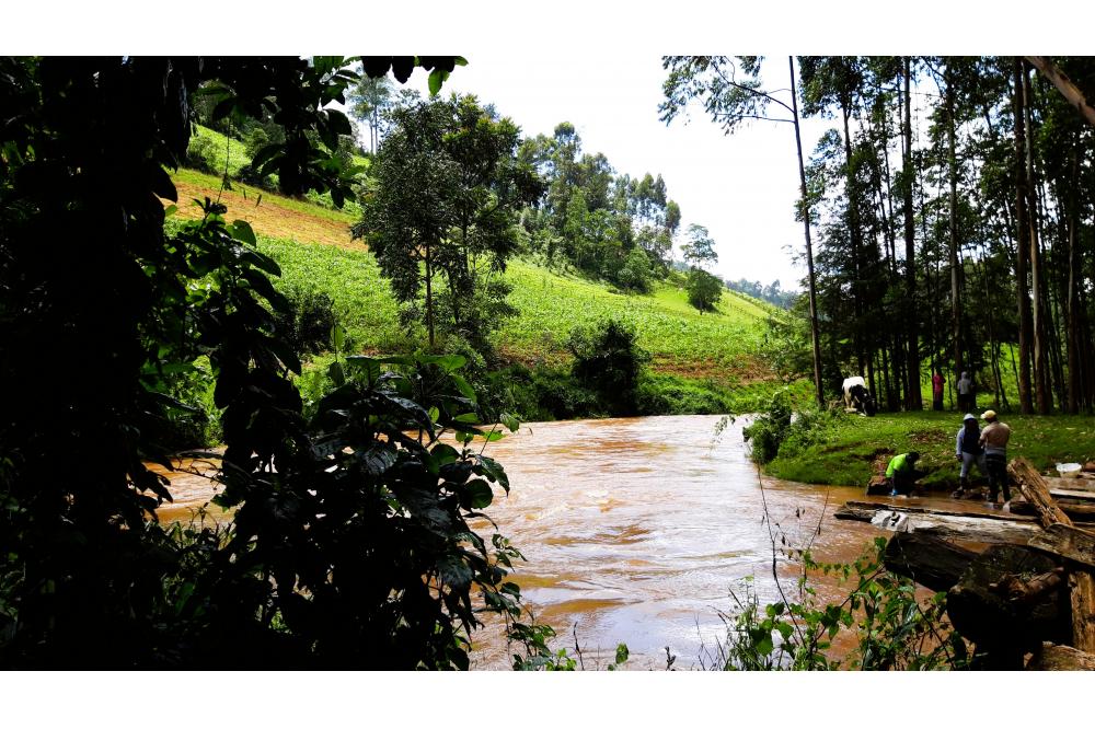 Fl&uuml;sse als untersch&auml;tzte Quelle von Treibhausgasen