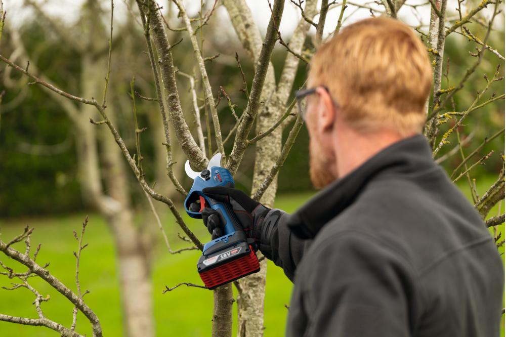 Akku-Astschere f&uuml;r professionelle Gartenpflege